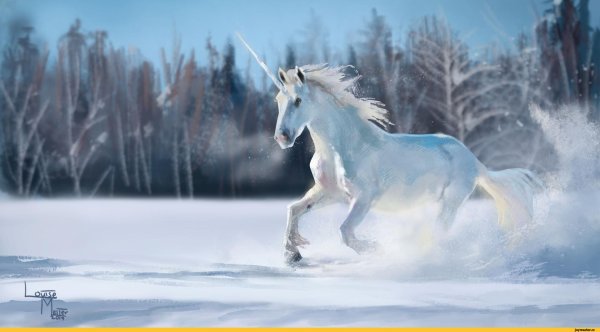 Зимний Единорог