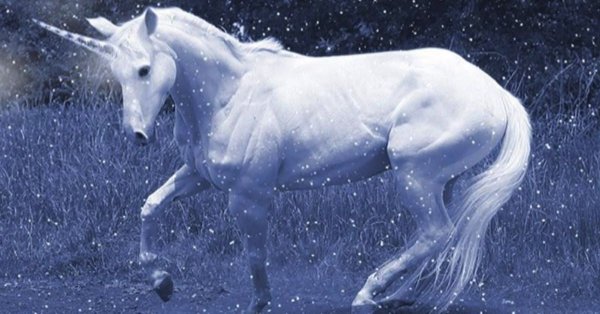 Снежный Единорог