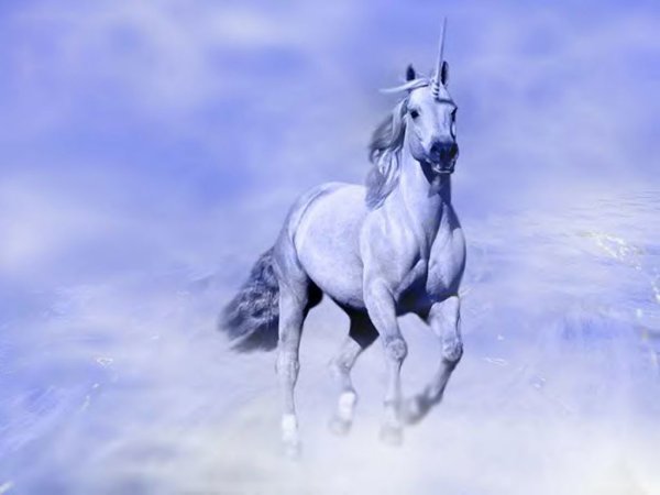 Единорог зимой