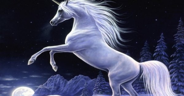 Белла Сара табун Пегас