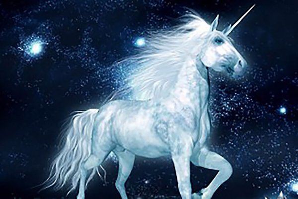 Полуночный Единорог