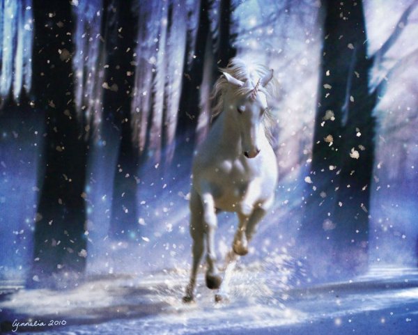 Единорог зимой