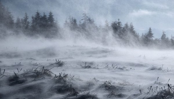 Снежная буря