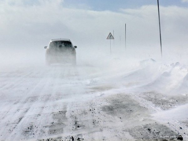 Снежный Буран в степи