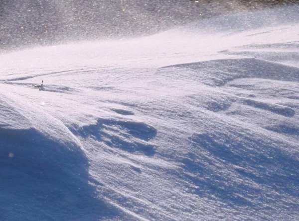 Метель вьюга Пурга Буран