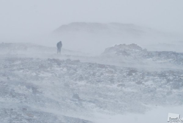 Буран Снежная буря