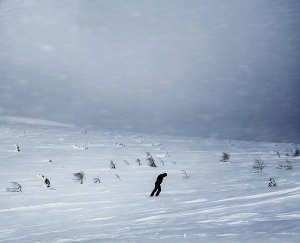 Буран Снежная буря