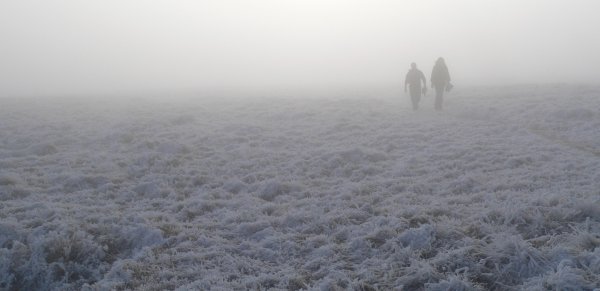 Ветер в тундре