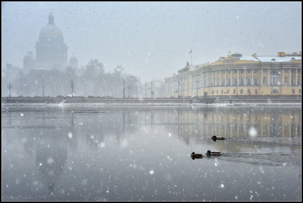 Черная речка Петербург зима