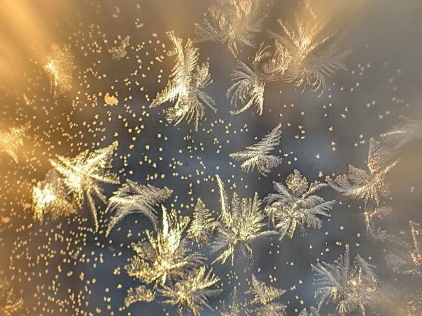 Зимние узоры