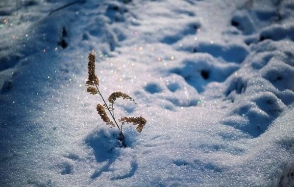 Блестящий снег