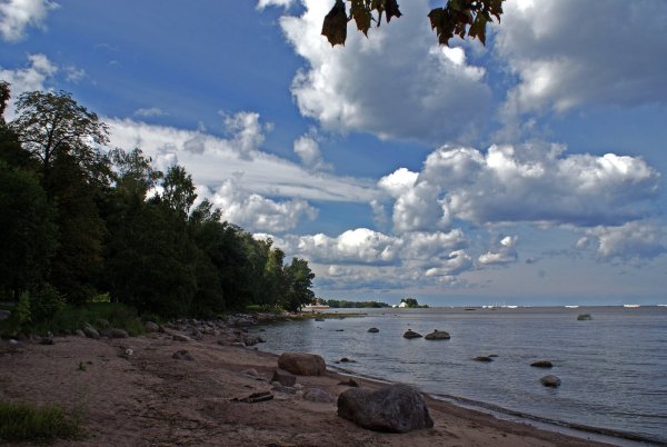 Репино Ленинградская область финский залив