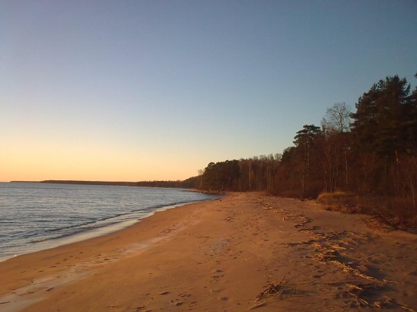 Зеленогорск финский залив
