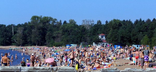 Золотой пляж Зеленогорск