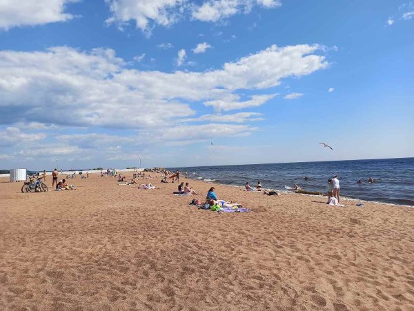 Золотой пляж Зеленогорск