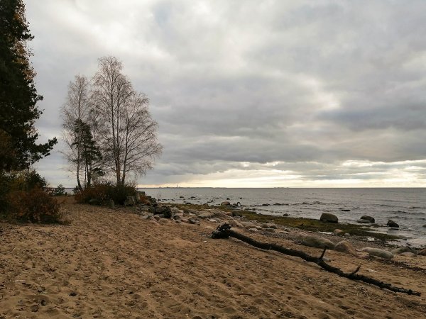 Зеленогорск набережная финского залива