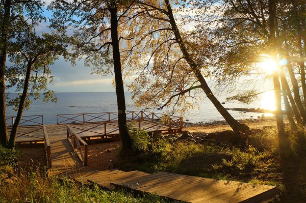 Золотой пляж Зеленогорск