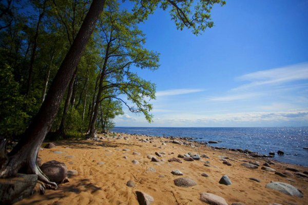 Зеленогорск финский залив пляж