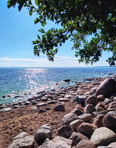 Зеленогорск берег финского залива