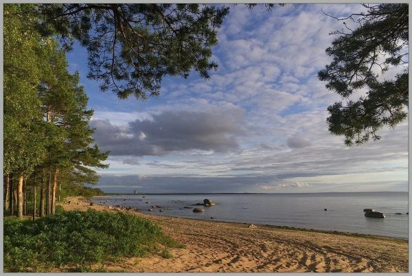 Зеленогорск берег финского залива