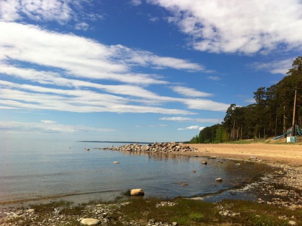Зеленогорск Ленинградская область залив
