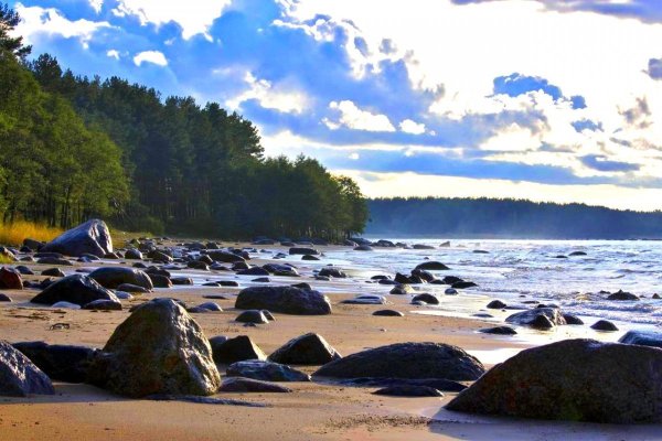 Зеленогорск берег финского залива