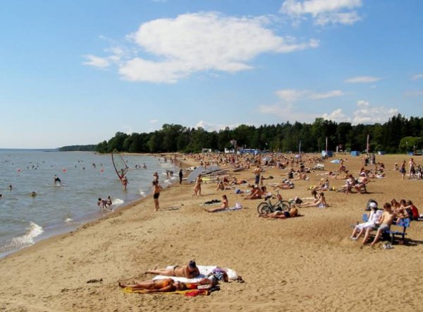 Зеленогорск финский залив пляж