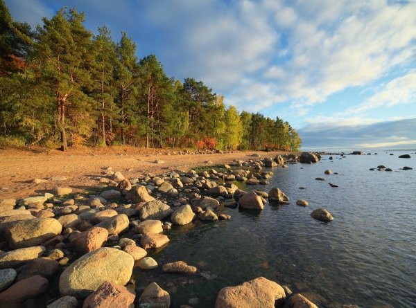 Финский залив Сосновый Бор
