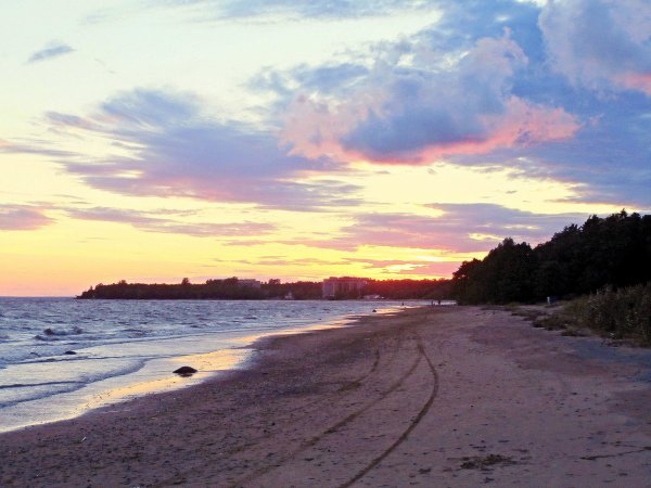 Зеленогорск берег финского залива