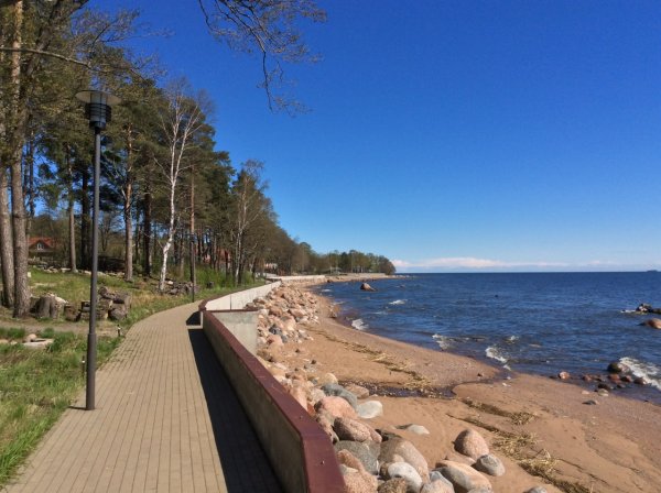 Зеленогорск набережная финского залива