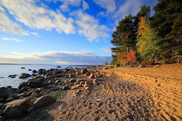 Репино финский залив