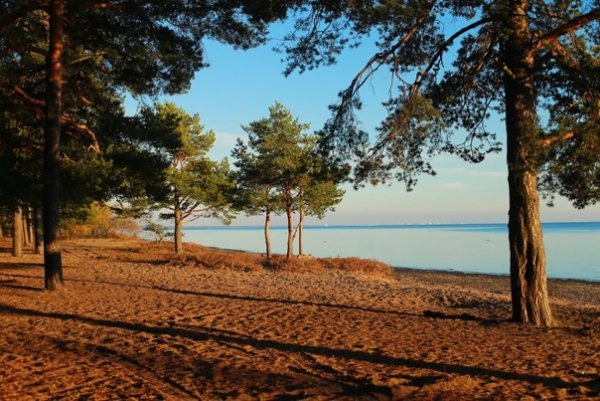 Зеленогорск финский щали