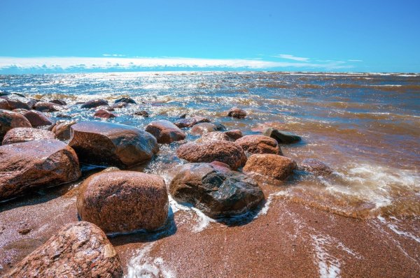 Зеленогорск берег финского залива