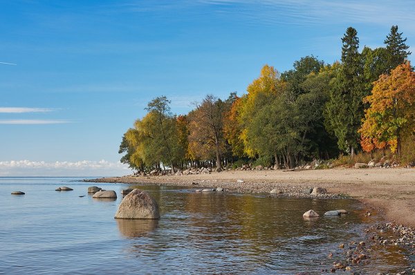 Репино берег финского залива осенью