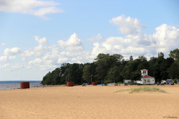 Золотой пляж Зеленогорск