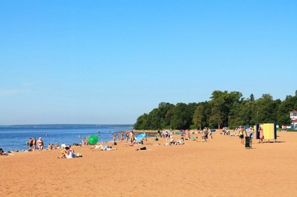 Зеленогорск финский залив пляж