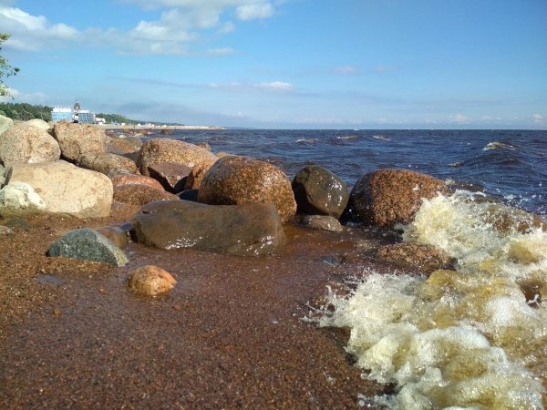 Зеленогорск финский залив