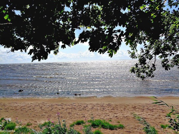 Зеленогорск финский залив