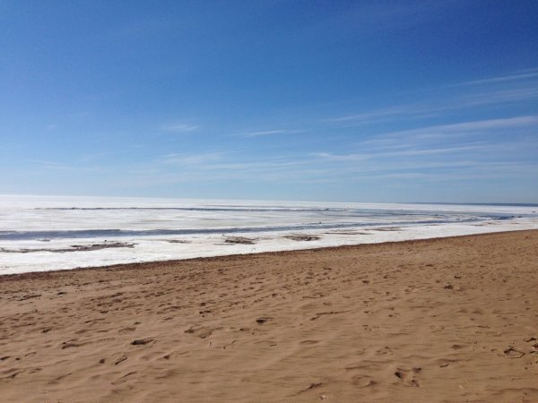 Золотой пляж Зеленогорск