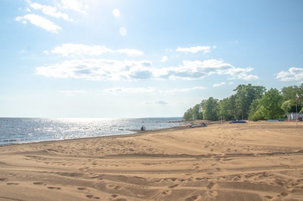 Золотой пляж финский залив