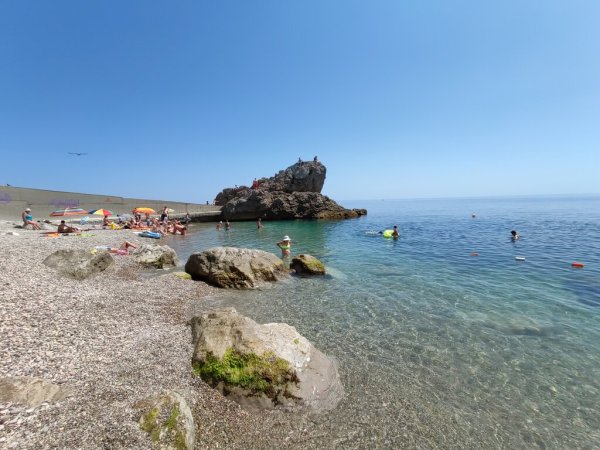 Ялта Алупка пляж лягушка