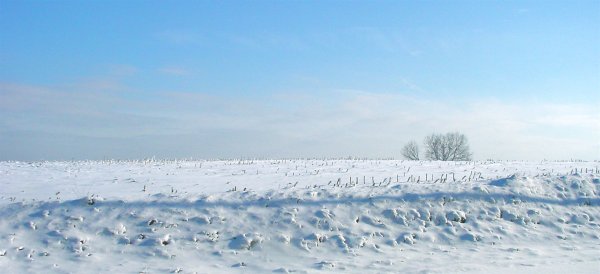 Снежная степь