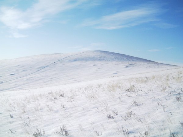 Заснеженная степь