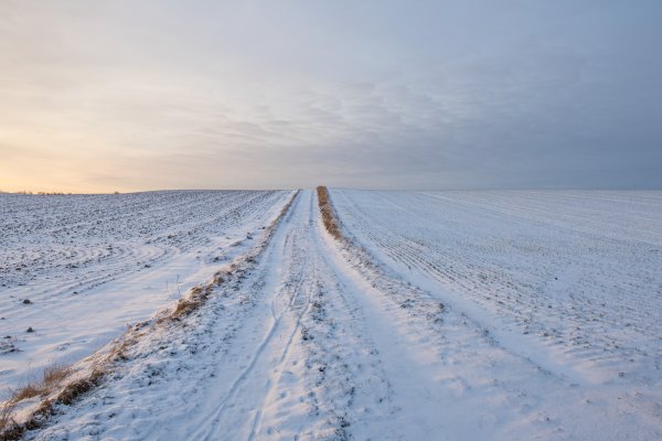 Заснеженная степь