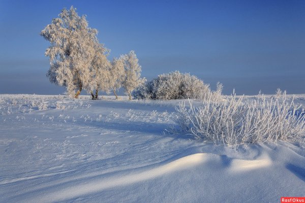 Зима в степи России