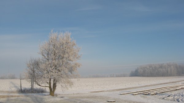 Калмыкия природа зимой