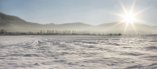 Снежная степь