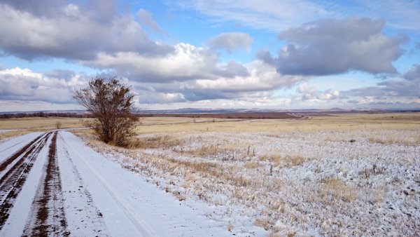 Зимняя степь Оренбург