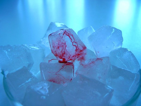 Ледяная Эстетика