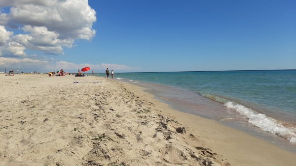 Ковчег Поповка Крым